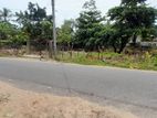 Land for sale in Walgama matara