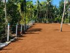 Land for Sale in Walgammulla M06