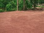 Land for sale in walgammulla-N05
