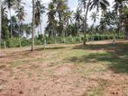 Land for Sale in Walihinda