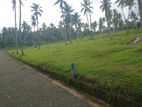 Land for Sale in Walihinda