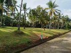 Land for Sale in Walihinda