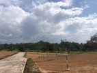 Land for Sale in Walipanna