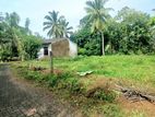 Land for Sale in Walipillewa