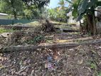 Land for Sale in Walpola, Angoda