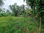 Land for Sale in Walpola