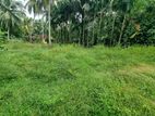 Land for sale in walpola