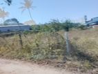 Land for Sale in Walpola Road, Minuwangoda.