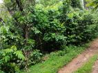 Land for Sale in Warakapitiya Weligama