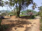 Land for Sale in Warakapola