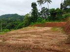 Land For Sale In Warakapola