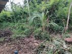 Land for sale in Warakapola