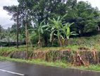 Land for Sale in Warakapola