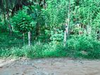 Land for Sale in Warakapola (Ihala Maynnaluwa)