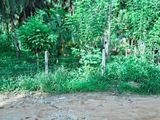 Land for Sale in Warakapola (Ihala Maynnaluwa)