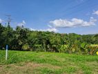 Land for Sale in Warakapola - මංගෙදර හන්දියට සමීපව