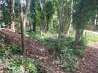 Land for Sale in Warakapola Town