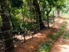 Land for Sale in Wariyagala Kandy