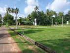 Land for Sale in Wariyapola City - 205