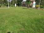 Land for Sale in Wariyapola City - 297