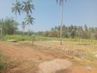 Land for Sale in Wariyapola