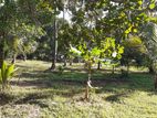 Land for Sale in Wariyapola