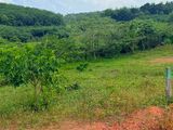 Land for Sale in Waskaduwa