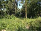 Land for Sale in Wataddara, Veyangoda