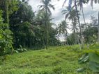 Land For Sale In Wathupitiwala