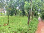 Land for Sale in Wathupitiwala