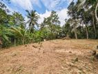 Land for Sale in Wathupitiwala