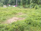 Land for Sale in Wathupitiwala