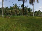 Land For Sale In Wathurugama