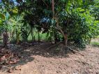 Land for sale in wathurugama