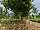 Land for Sale in Wathurugama