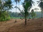 Land for Sale in Wathurugama, Kirindiwela THI/L/0042