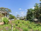 Land For Sale In Wattala - CL756