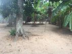 Land For Sale In Wattala, Elakanda