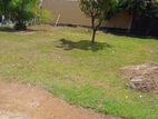 Land for Sale in Wattala Face Main Road -Code Add 814