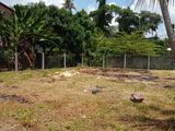 Land for Sale in Wattala