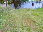 Land for Sale in Wattala