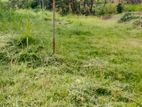 Land for Sale in Wattala