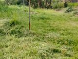 Land for Sale in Wattala