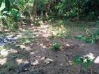 Land for Sale in Wattala