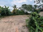 Land for Sale in Wattala