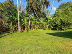Land for Sale in Wattala