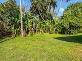 Land for Sale in Wattala