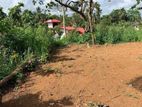 Land for SALE in Wattala