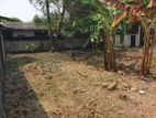 Land for sale in Wattala