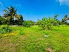 Land for Sale in Wattala